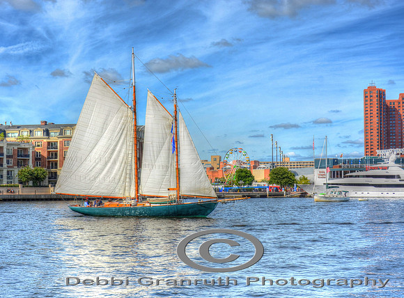 Urban Sailing