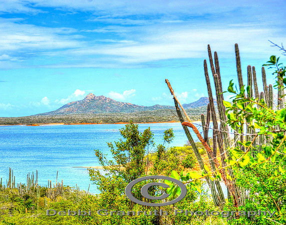 Bonaire 2