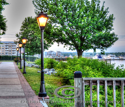 On the Water Front