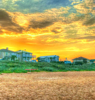 Beach Houses