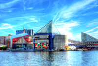 Baltimore Aquarium
