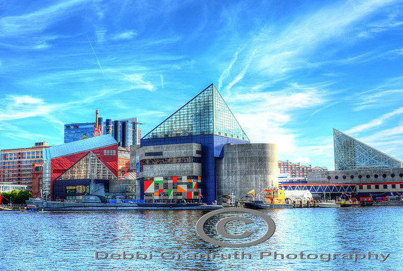 Baltimore Aquarium