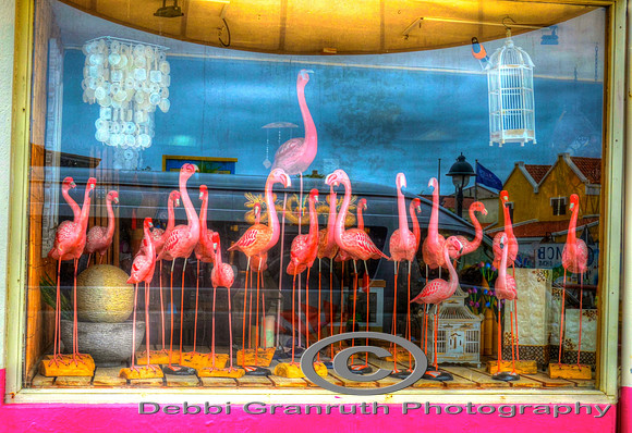 Flamingos