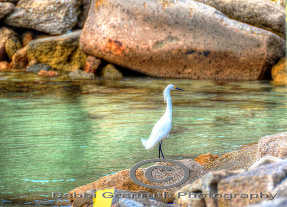 Matanza Inlet Crain