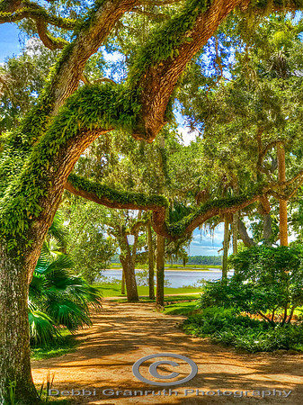 Washington Oaks Park