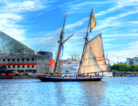 Privateer Lynx Schooner