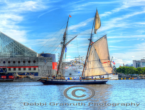 Privateer Lynx Schooner