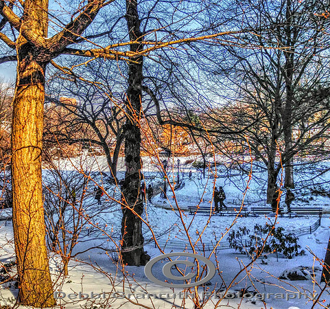 Central Park