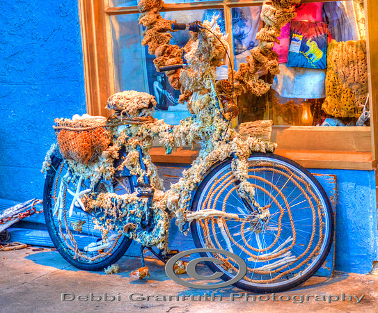 Sponge Bike