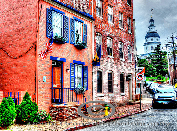 Annapolis -State House