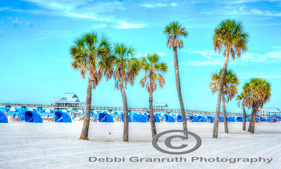Seven Palms