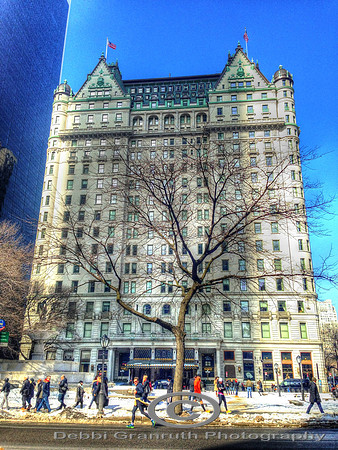 The Plaza Hotel