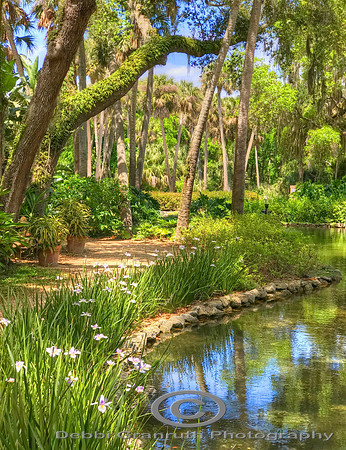 Nature Walk