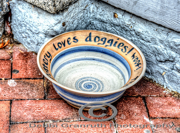 Doggie Dish