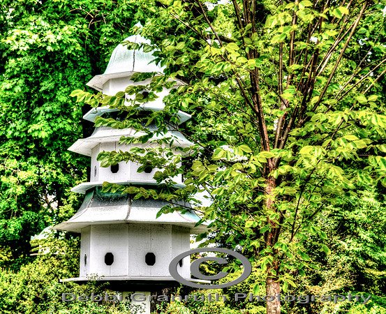 Rooms for Rent