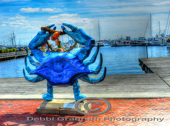 Blue Crab