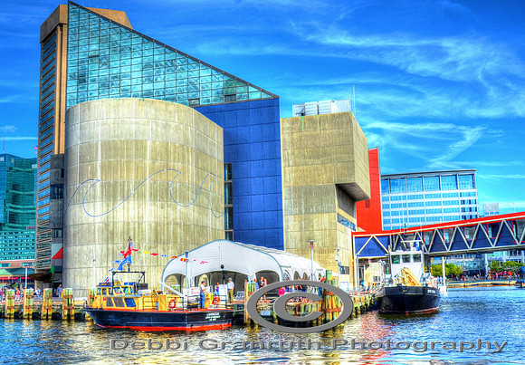 National Aquarium in Balt