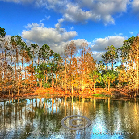 Wadsworth Park