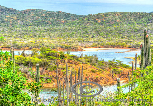 Bonaire 1
