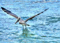 Splash Landing