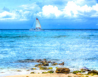 Set Sails