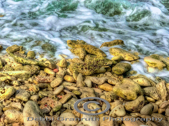 Bonaire Shoreline